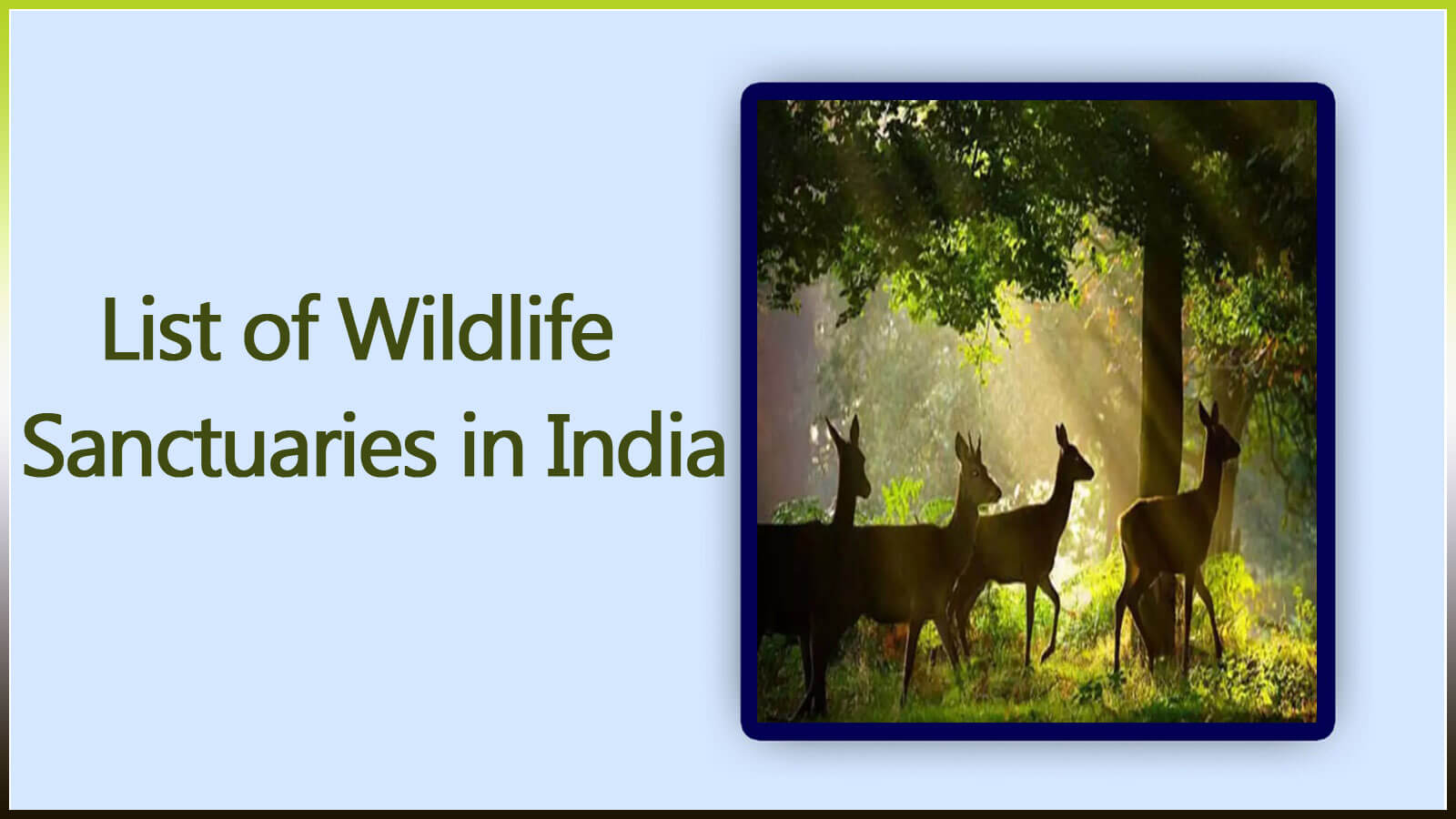 India Wildlife Sanctuaries List