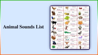 Animal Sounds List